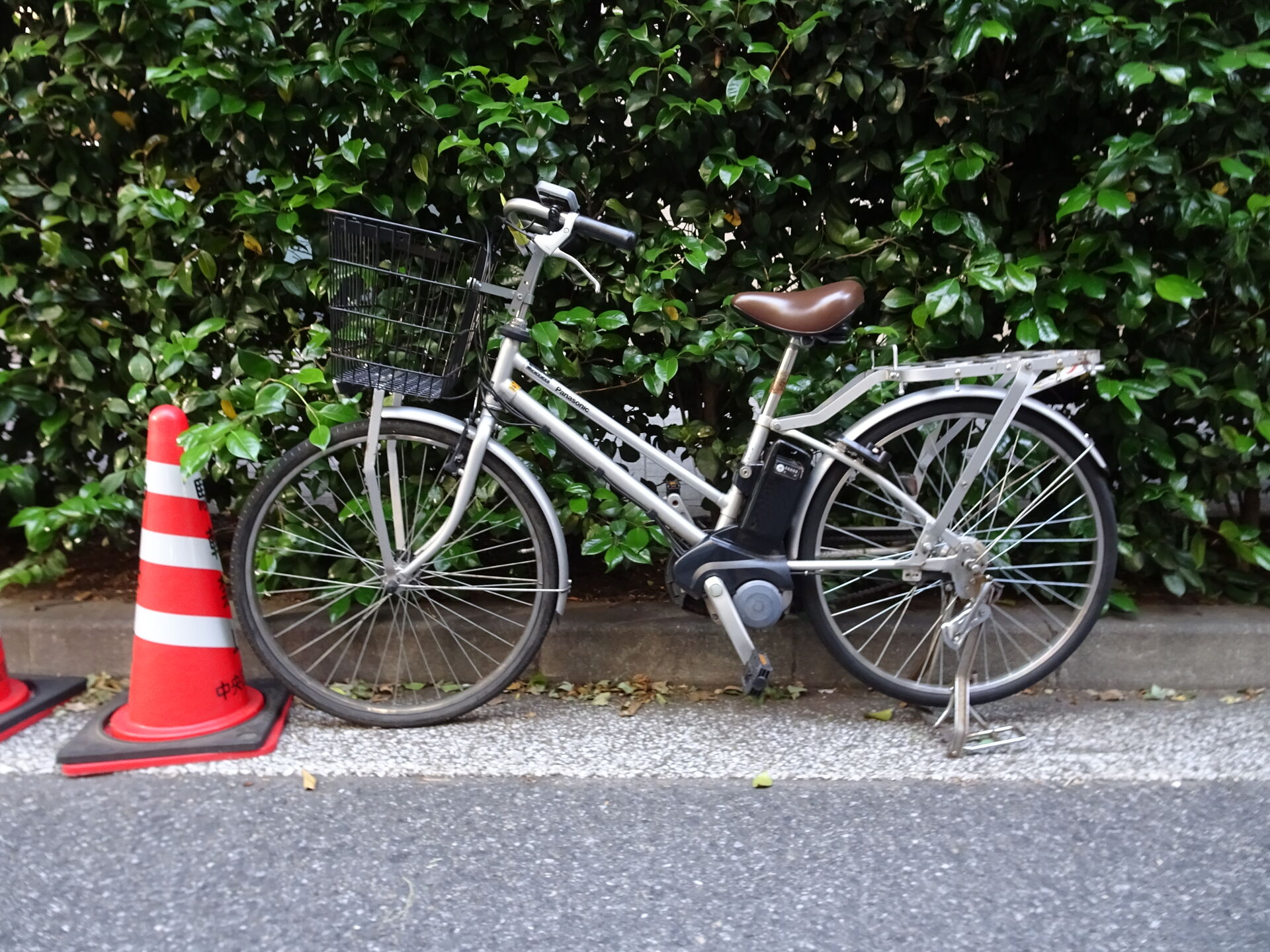 Machine, Bicycle, Vehicle, Plant